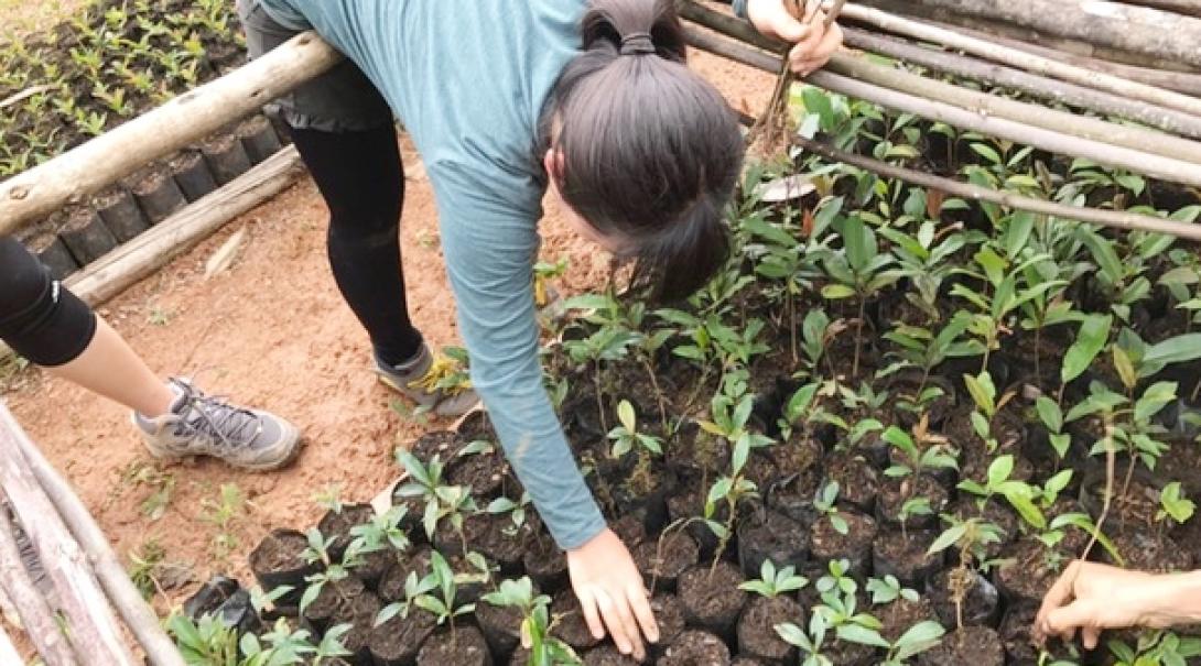 日本出身の高校生ボランティアがマダガスカルで植樹に活躍 マダガスカルの熱帯雨林で植林活動に取り組む日本人高校生ボランティア